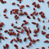 Goji bessen (bio) los