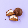 Doorgesneden chocolade mello cakes melk met marshmallowvulling en koekbodem