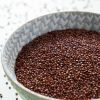Quinoa rood (bio) van dichtbij