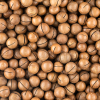 Macadamia noten in dop geroosterd gezouten