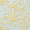 Losgestrooide biologische orzo op een lichtblauwe achtergrond