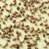 Pistachenoten gepeld geroosterd (bio)