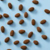 Chocolade amandelen melk / truffel los over de achtergrond