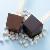 Chocolade lepels melk/puur 2 stuks