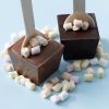 Chocolade lepels melk/puur met marshmallows