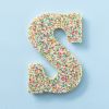 Chocoladeletter S discodip 200 gram