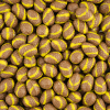 chocolade paaseitjes massief (advocaat)