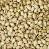 Pistachenoten geroosterd gezouten