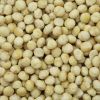 Witte biologische macadamia noten raw