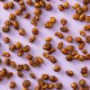 Honey wasabi peanuts los