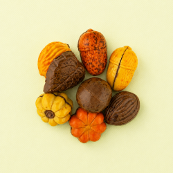 Herfst bonbons in verschillende vormen en kleuren op een lichtgele achtergrond