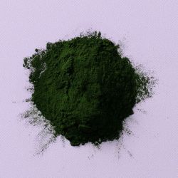 Chlorella poeder (bio)