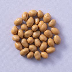 Chocolade pinda's karamel zeezout