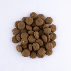 Chocolade kruidnoten melk / anijs