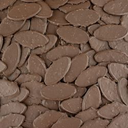 Chocolade krokantblaadjes puur