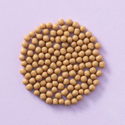 Crispearls Salted Caramel