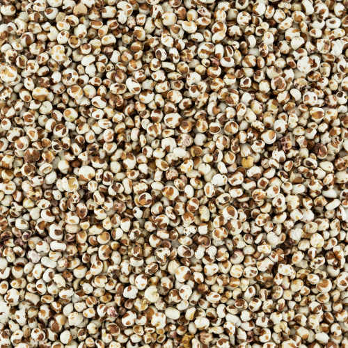 Sorghum gepoft