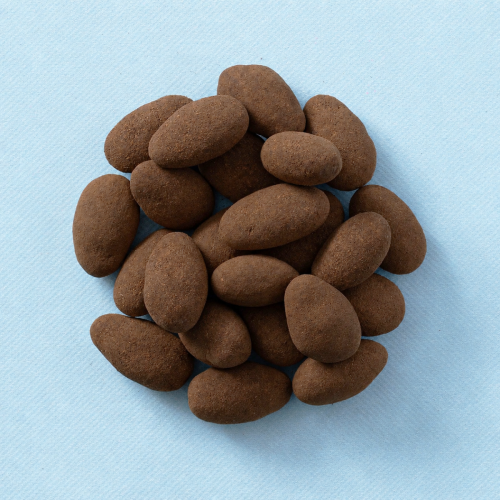 Chocolade amandelen melk / truffel