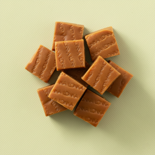 Fudge karamel zeezout van Lonka