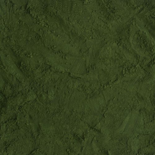 Biologische chlorella poeder