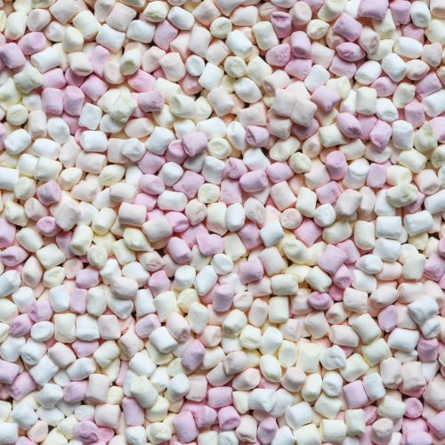 behalve voor Industrialiseren Mainstream Mini Marshmallows kopen | DeNotenshop.be